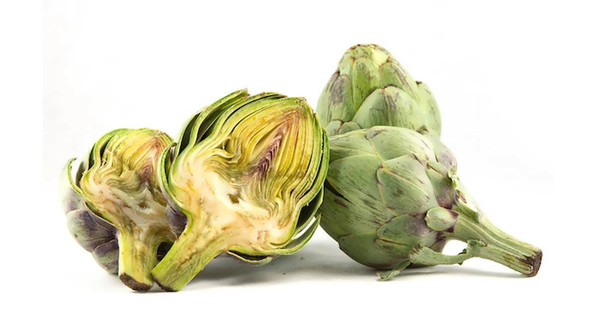 آموزش کاشت بذر آرتیشو