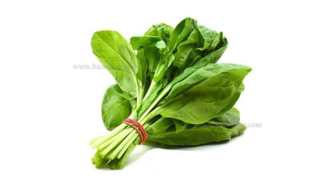 اصول کاشت بذر اسفناج