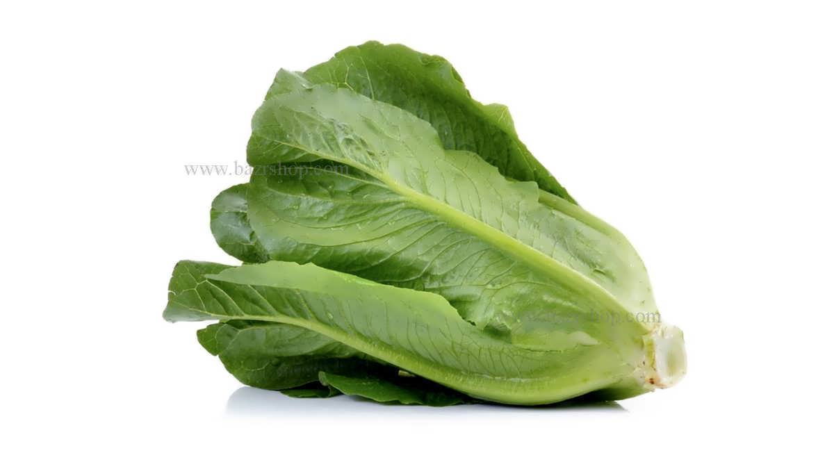 اصول کاشت کاهو