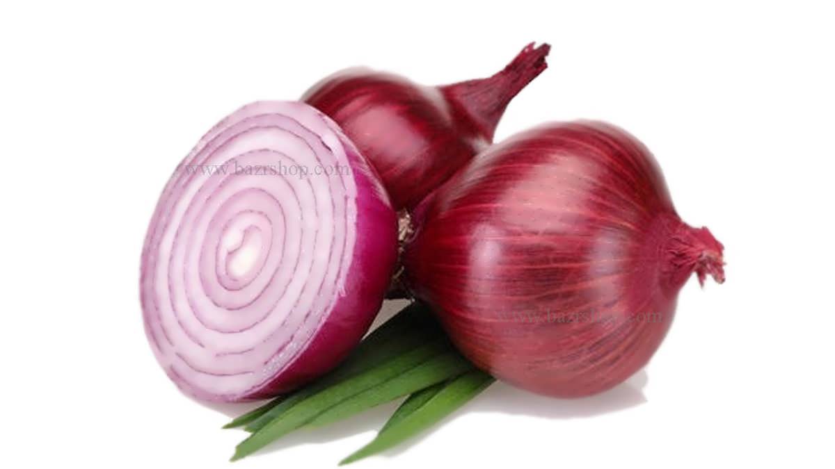 آموزش کاشت بذر پیاز