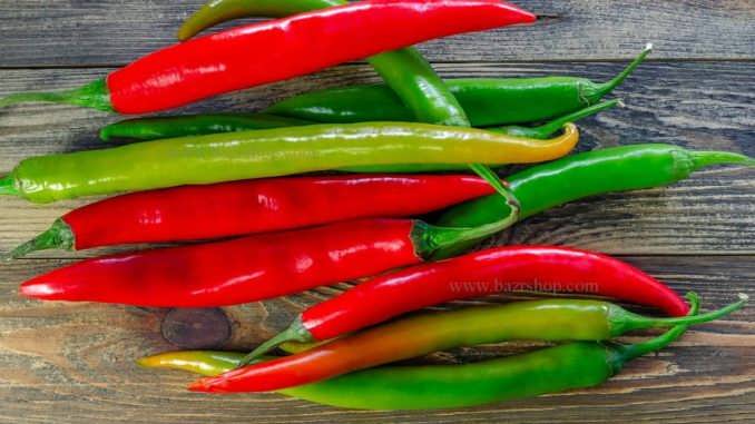 اصول کاشت فلفل