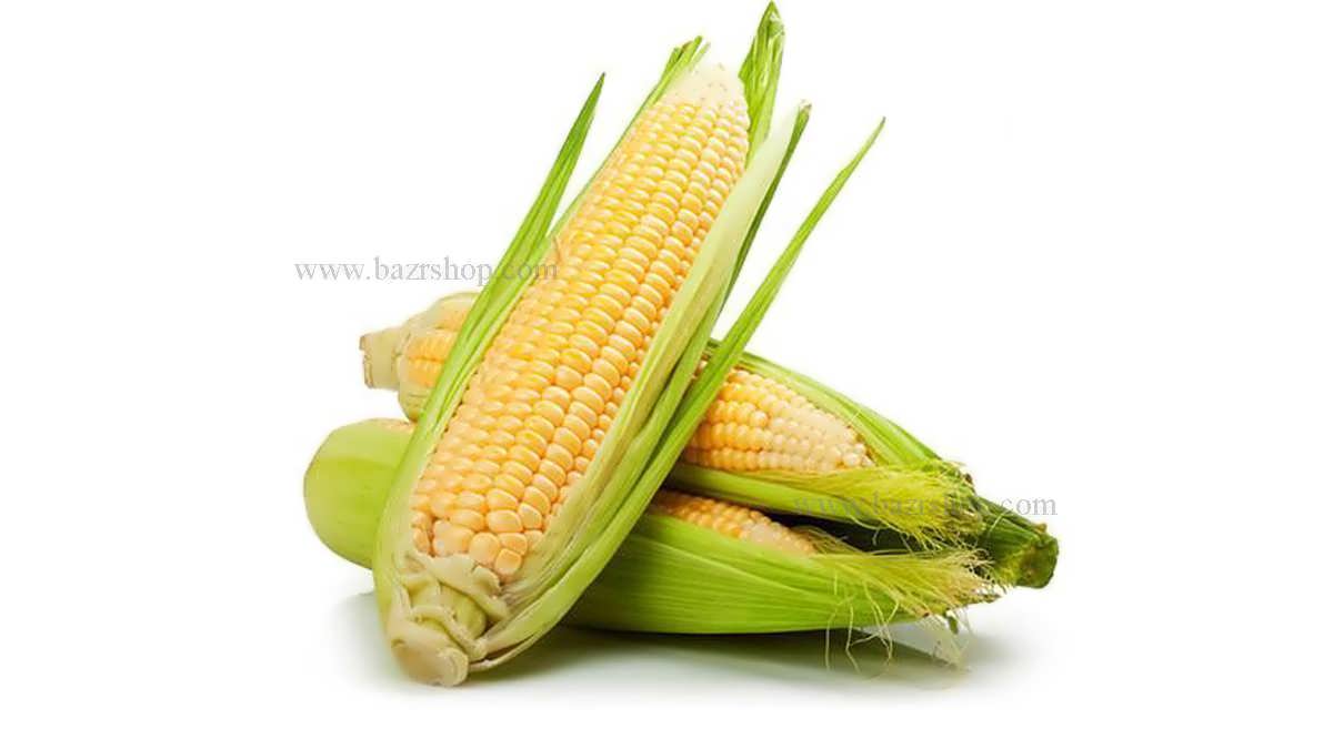 اصول کاشت ذرت