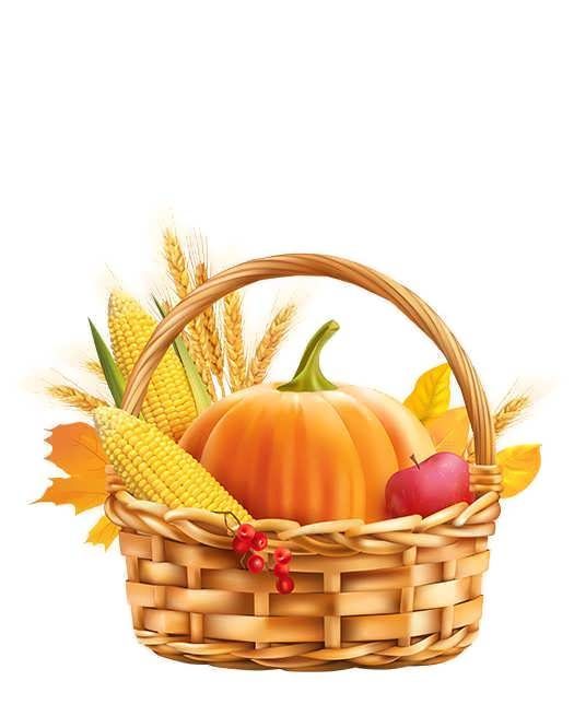 بذر صیفی جات