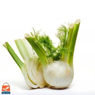 بذر رازیانه