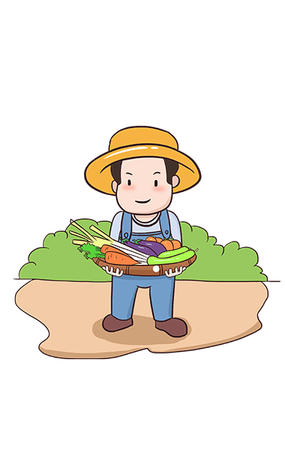 بسته سبزیجات در دست