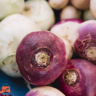 شلغم ایرانی