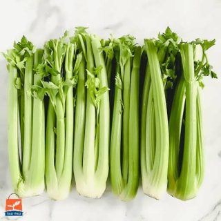 کرفس اصفهانی