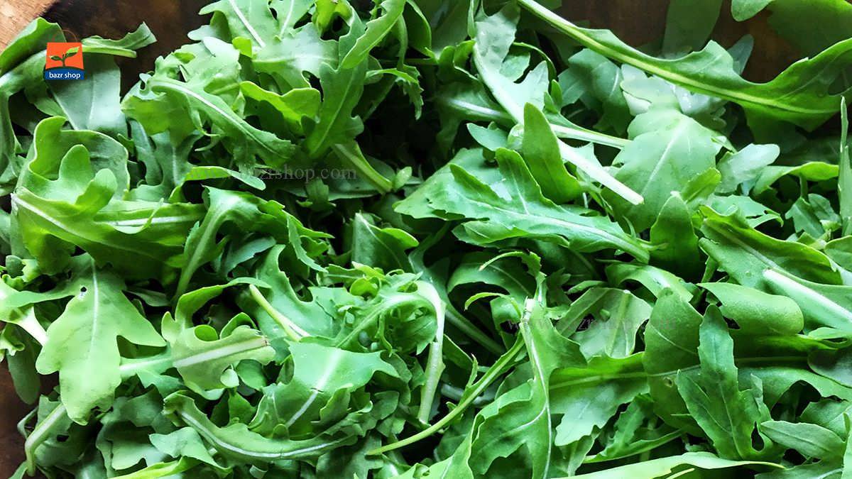 کاشت بذر آرگولا