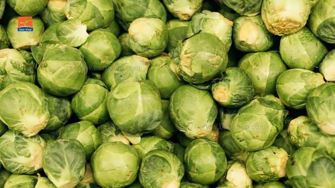 چگونگی کاشت بذر کلم بروکسل