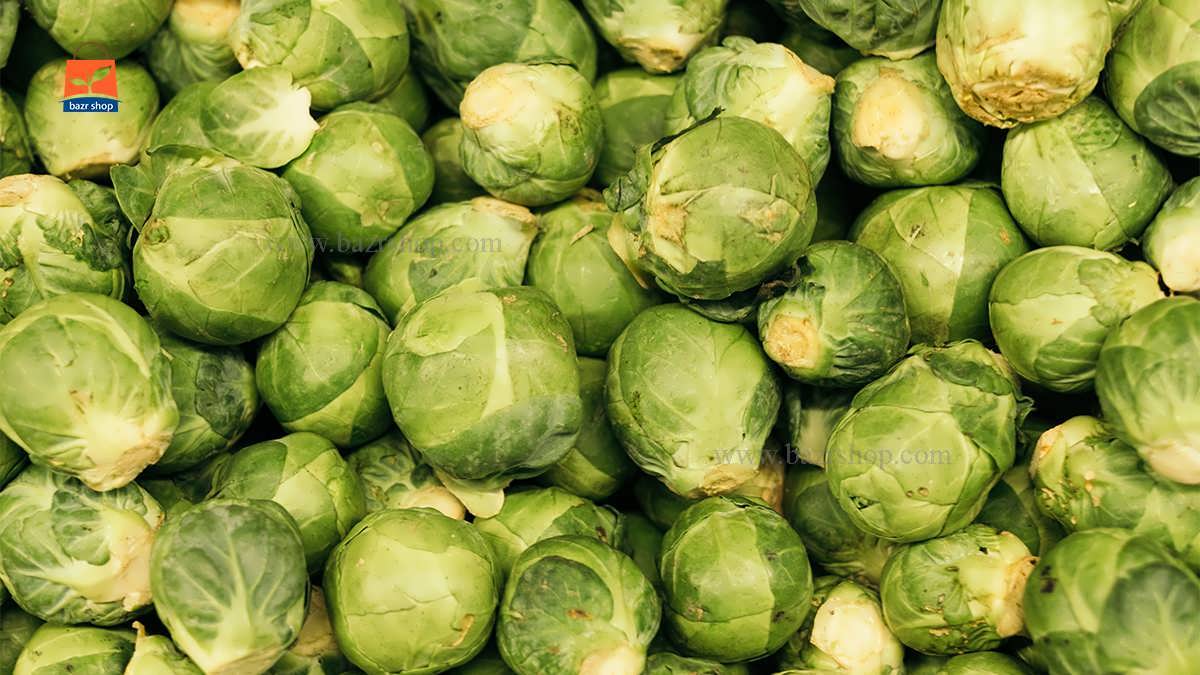 چگونگی کاشت بذر کلم بروکسل