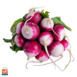 بذر تربچه دو رنگ