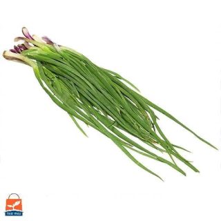 تره شادهگان