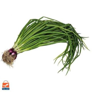 بذر تره شادهگان