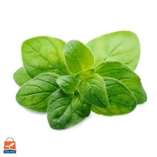 بذر ریحان سبز افغانی