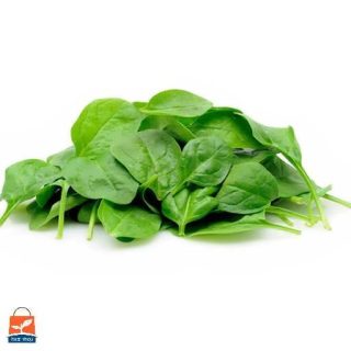 اسفناج شاهرودی