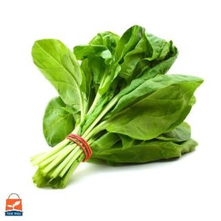 بذر اسفناج شاهرودی