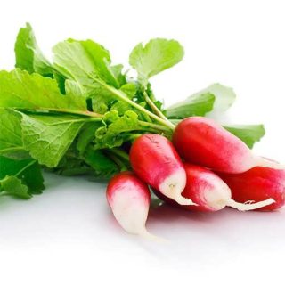 تربچه دو رنگ کشیده