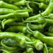 فلفل سبز شیرین تازه