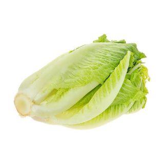 بذر کاهو رسمی