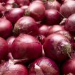 پیاز قرمز بورگوندی ارگانیک