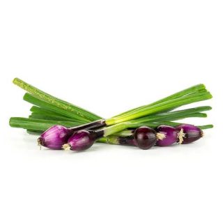 بذر پیازچه قرمز