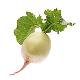 بذر لبو سفید