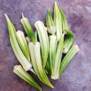 بذر بامیه سفید