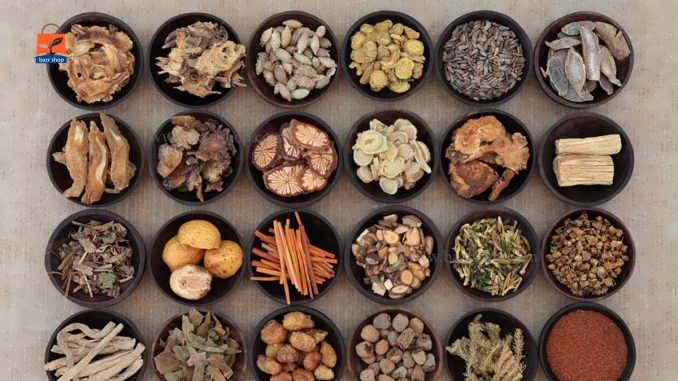 آموزش کاشت بذر گیاهان دارویی