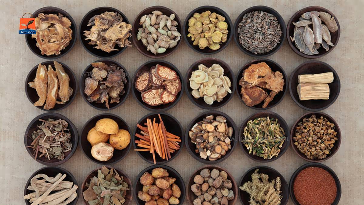 آموزش کاشت بذر گیاهان دارویی