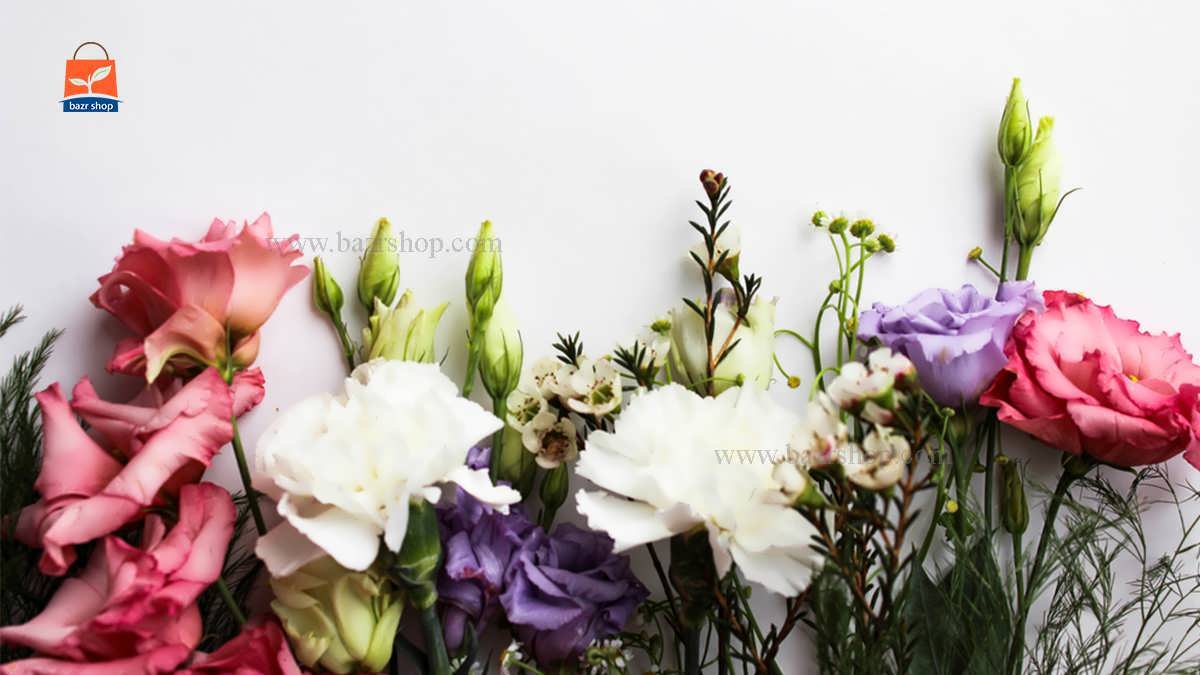 معرفی گلهای آپارتمانی گران قیمت