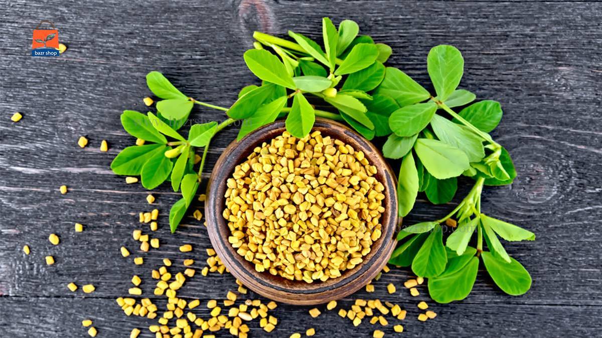 نحوه رشد و پرورش گیاه شنبلیله