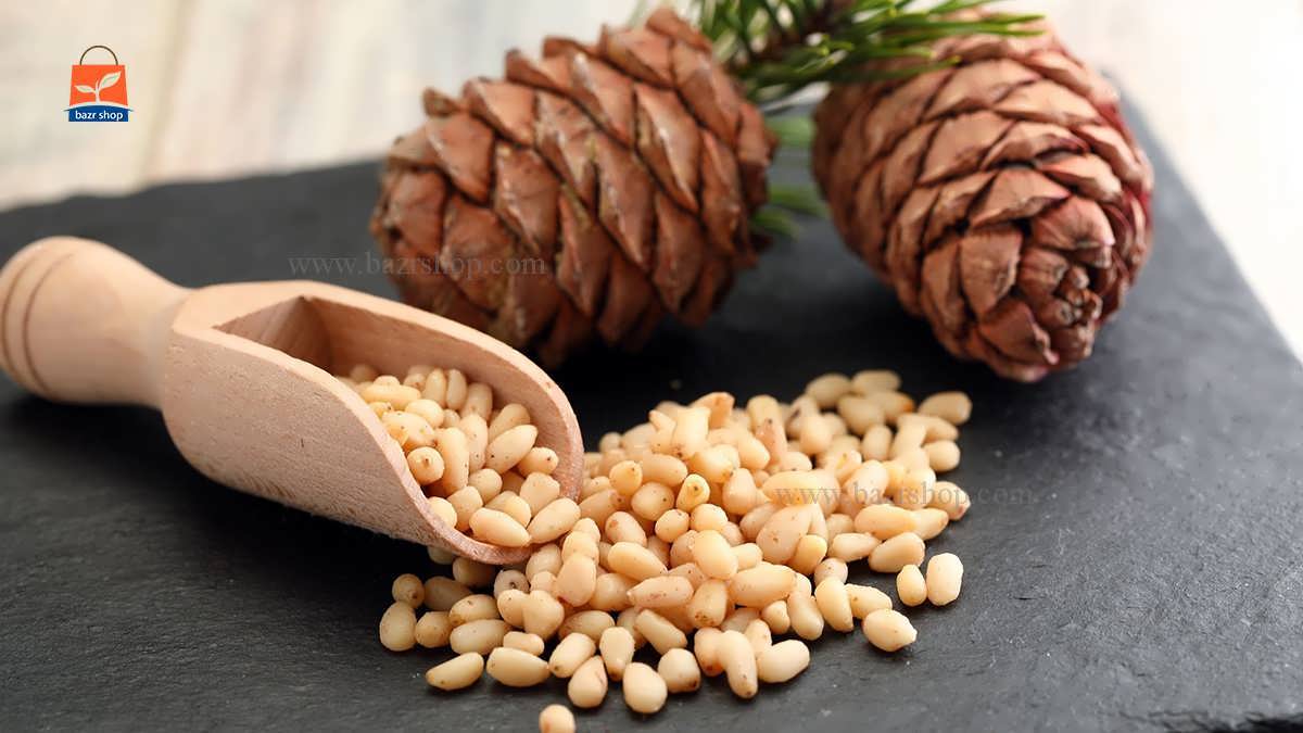 مقاله جامع و کامل درخت چلغوز