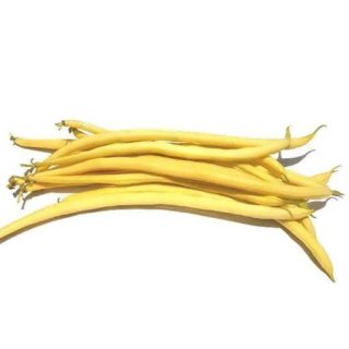 بذر لوبیا زرد