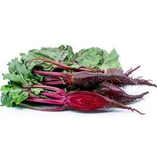 بذر لبو سیلیندرا