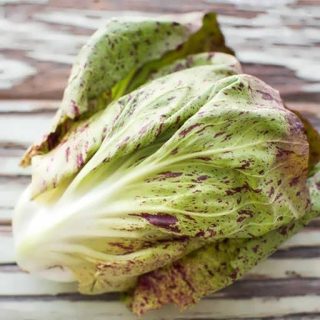 کاهو گل زیبا