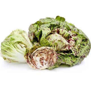 بذر کاهو گل زیبا