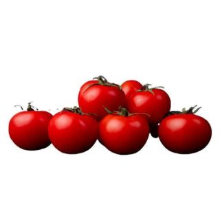 بذر گوجه فرنگی بلستار