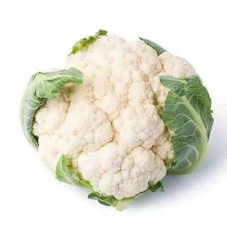 بذر گل کلم سفید برفی