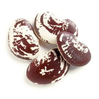 لوبیا لیما کریمس