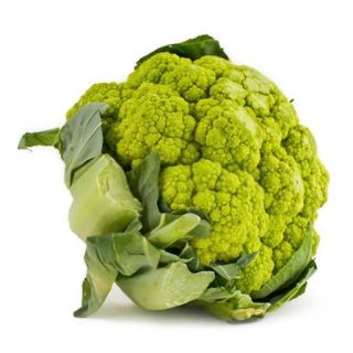 بذر گل کلم سبز شانون