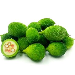 بذر خیار جوجه تیغی