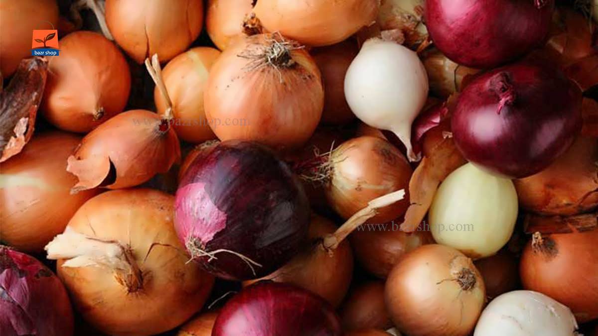 نحوه پرورش پیاز