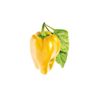 بذر فلفل دلمه ای زرد ایتالیایی