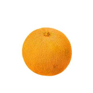 بذر خربزه آتشین