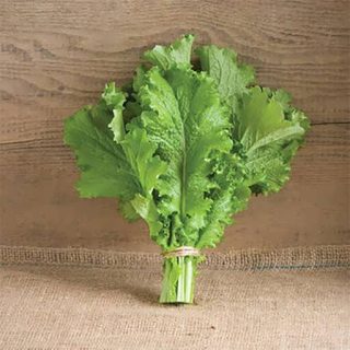 بذر خردل جنوبی كوچک