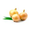 بذر پیاز زرد شیرین
