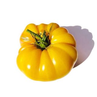 بذر گوجه فرنگی خرمالو