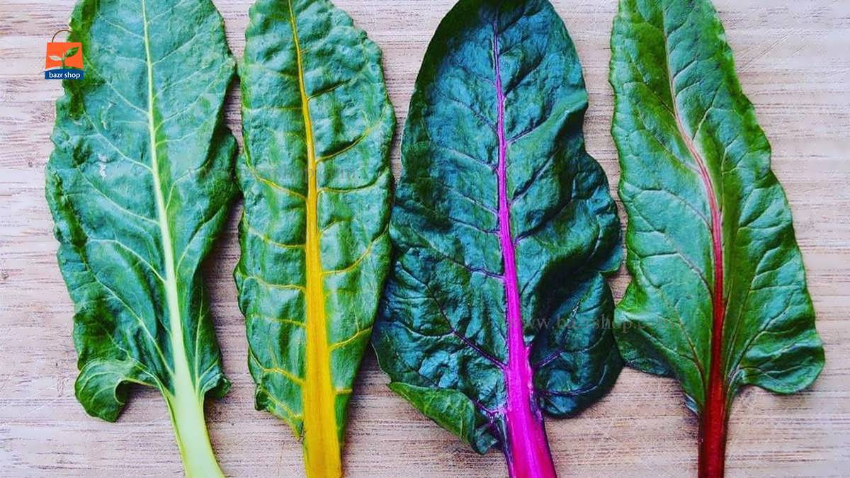 اصول کاشت برگ چغندر