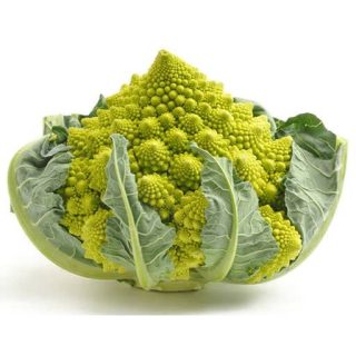 بذر کلم بروکلی رومانسکو