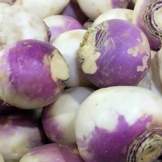 شلغم آمریکایی بنفش